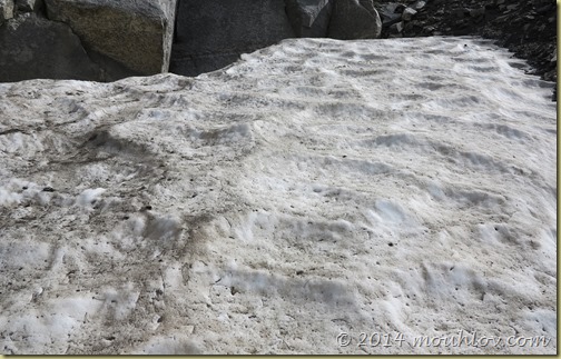 IMG_0235 IMG_0235