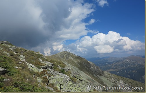 IMG_0242 IMG_0242